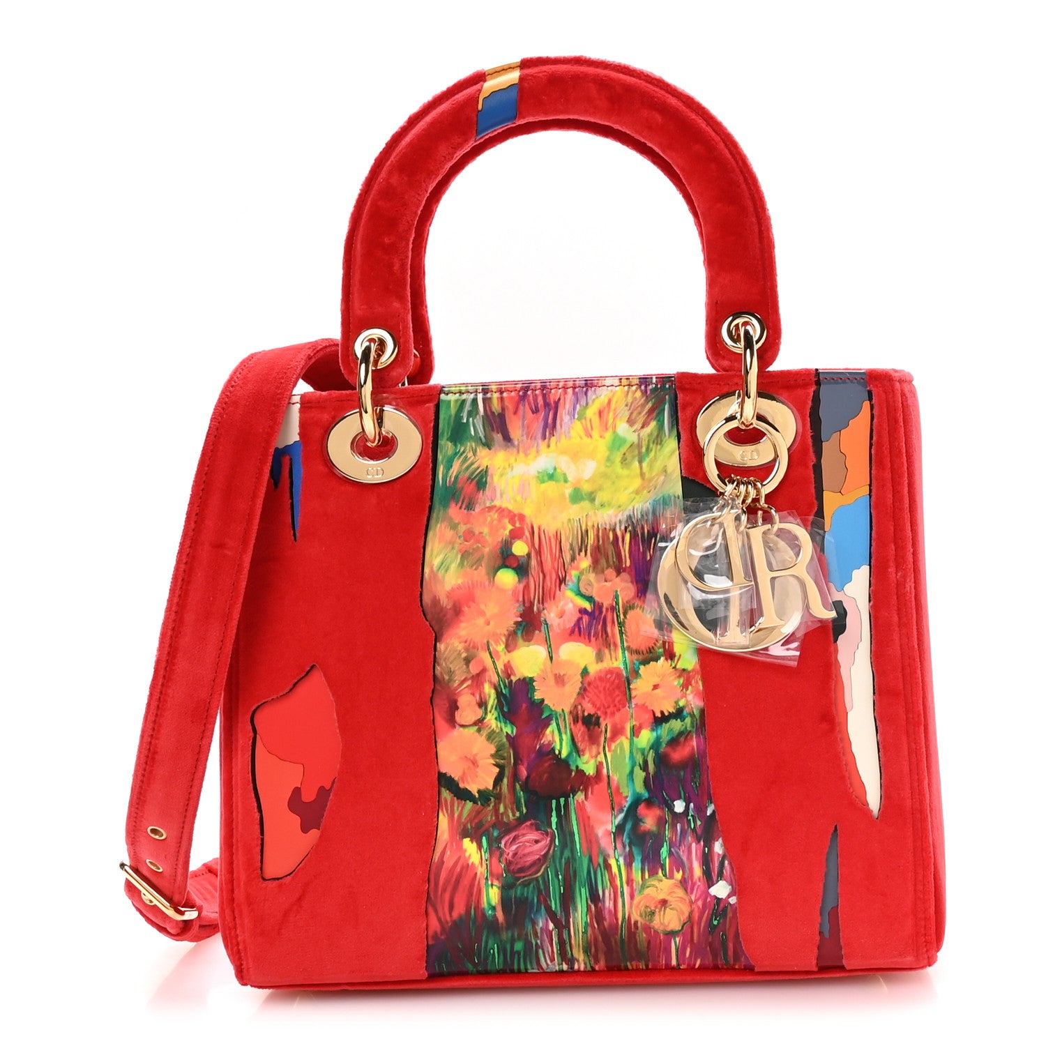 Christian Dior X SHARA HUGHES Velvet Calfskin Printed Medium Lady