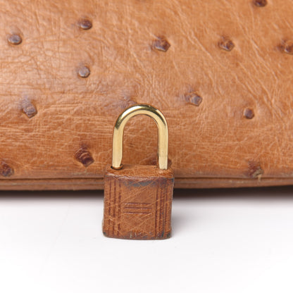 Hermes Ostrich Birkin 30 Gold 9 of 28
