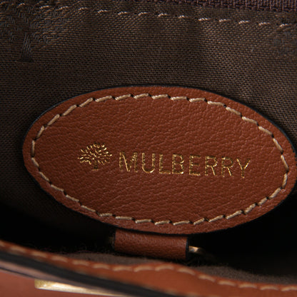 Mulberry Polished Buffalo Mini Alexa Oak 6 of 7