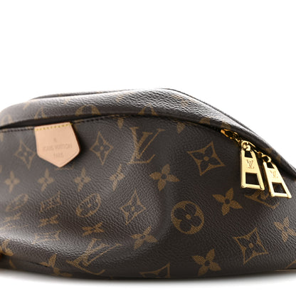 Louis Vuitton Monogram Bumbag 10 of 14