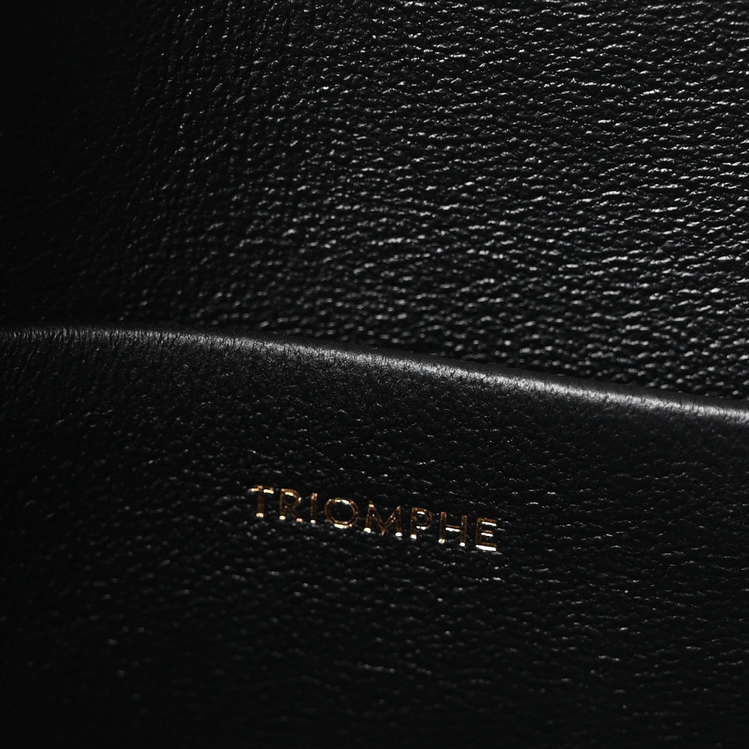 Celine Lizard Teen Triomphe Black 7 of 10