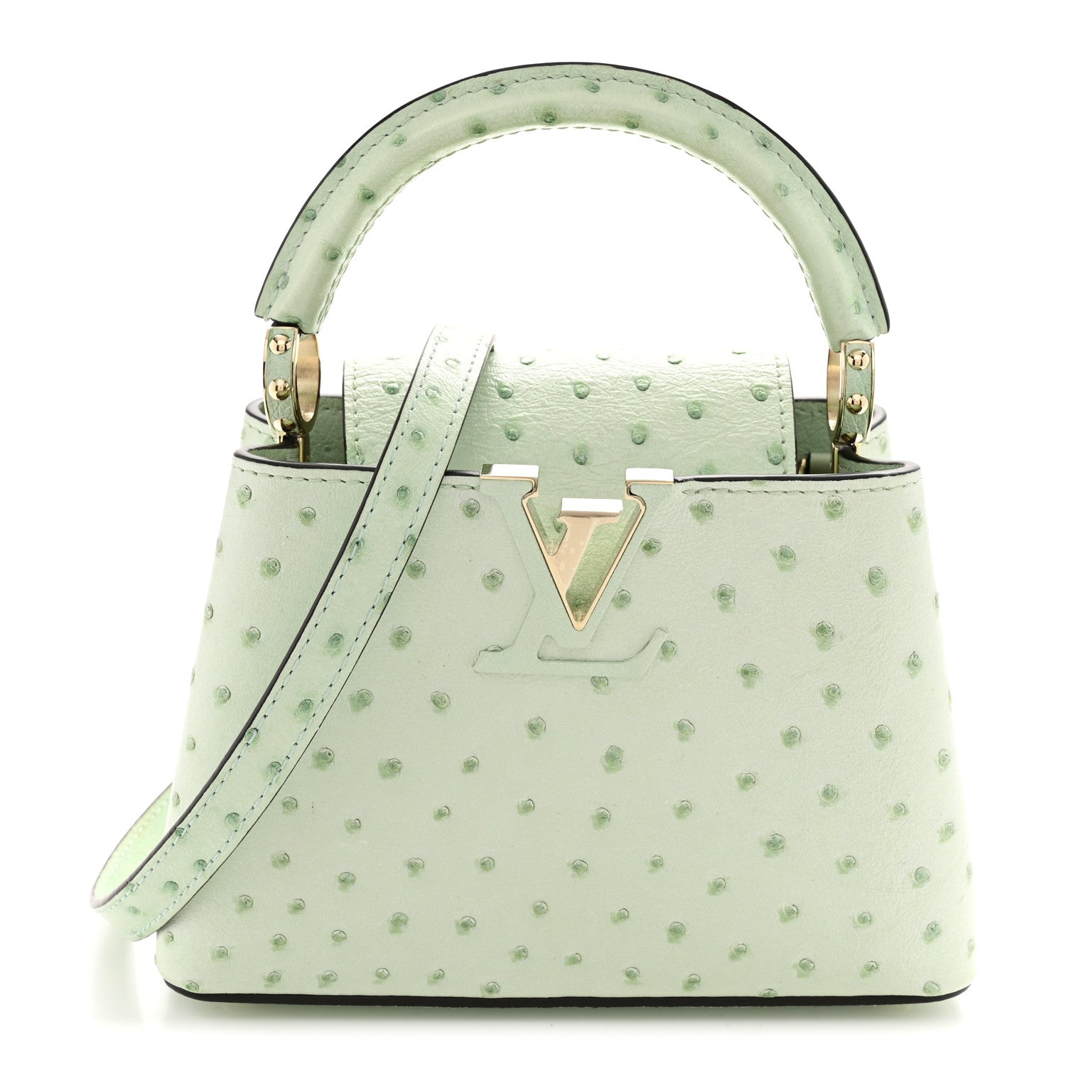 Louis Vuitton Ostrich Capucines Mini Vert Celadon 1 of 11