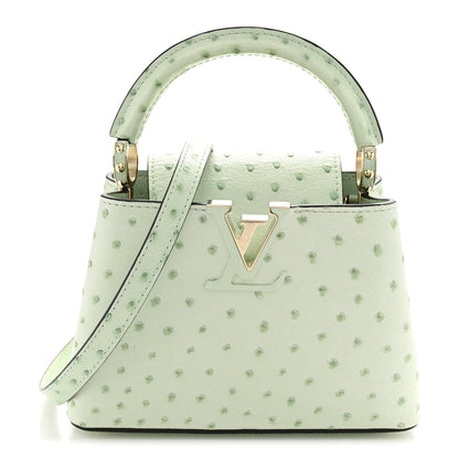 Louis Vuitton Ostrich Capucines Mini Vert Celadon 1 of 11