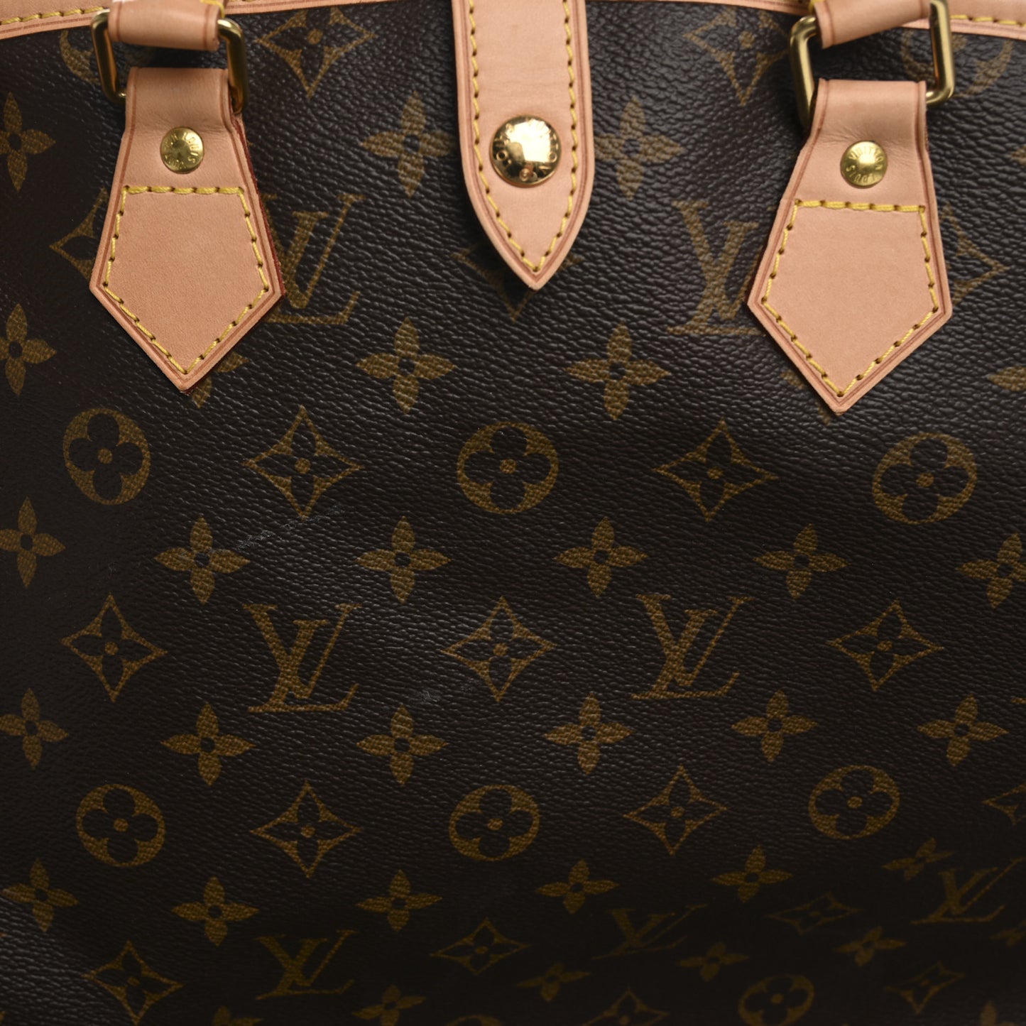 Monogram Garment Cover 2 Hangers