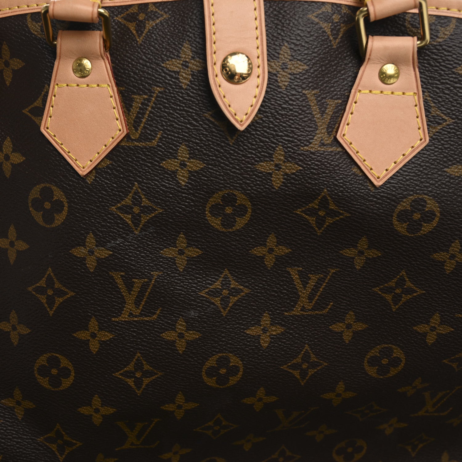 Louis Vuitton Monogram Garment Cover 2 Hangers 11 of 15