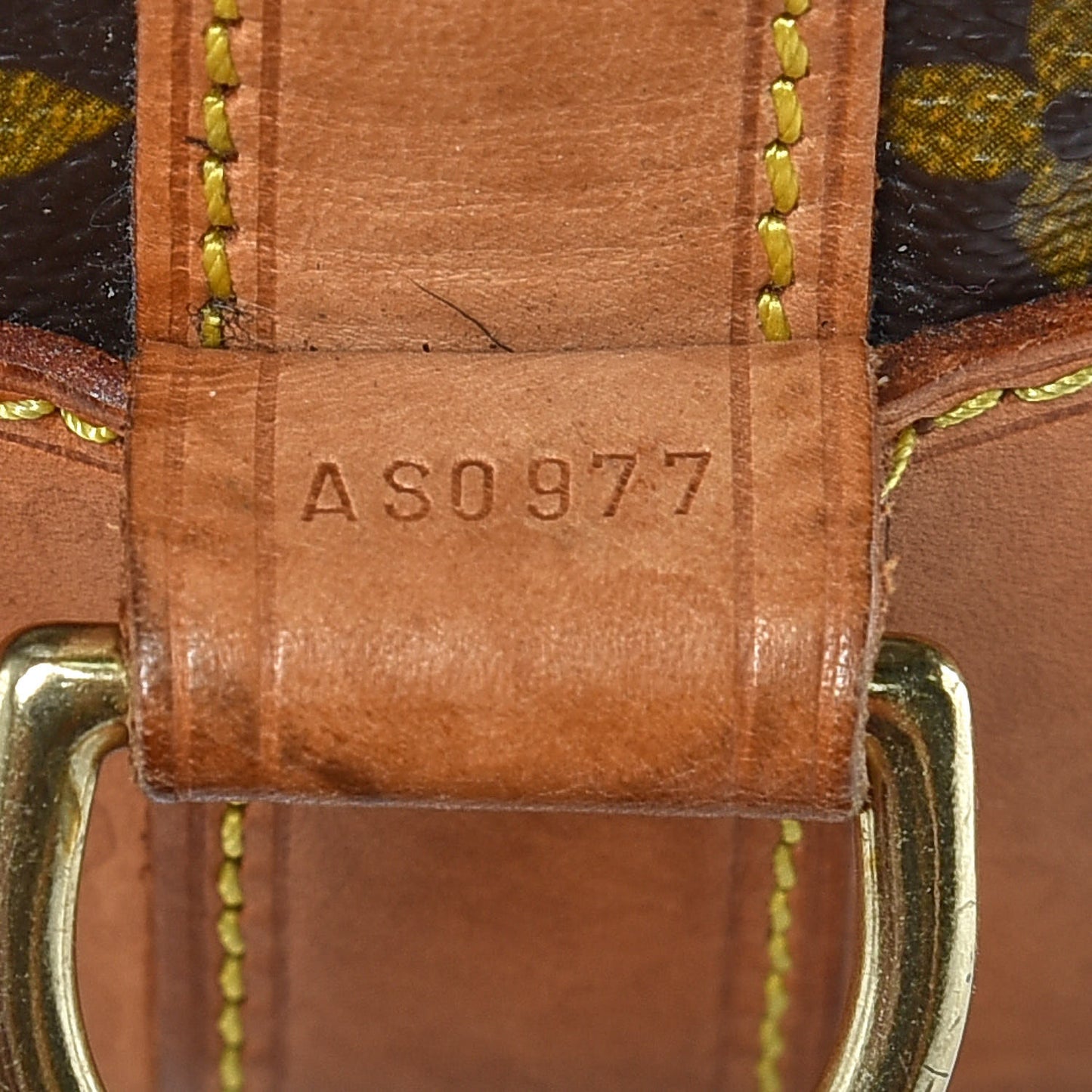 Monogram Randonnee PM