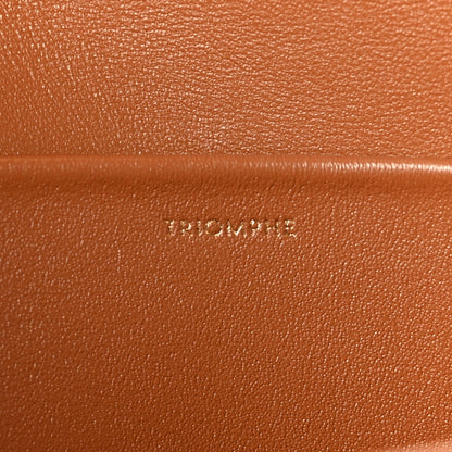 Celine Canvas Calfskin Triomphe Shoulder Bag Tan 7 of 9