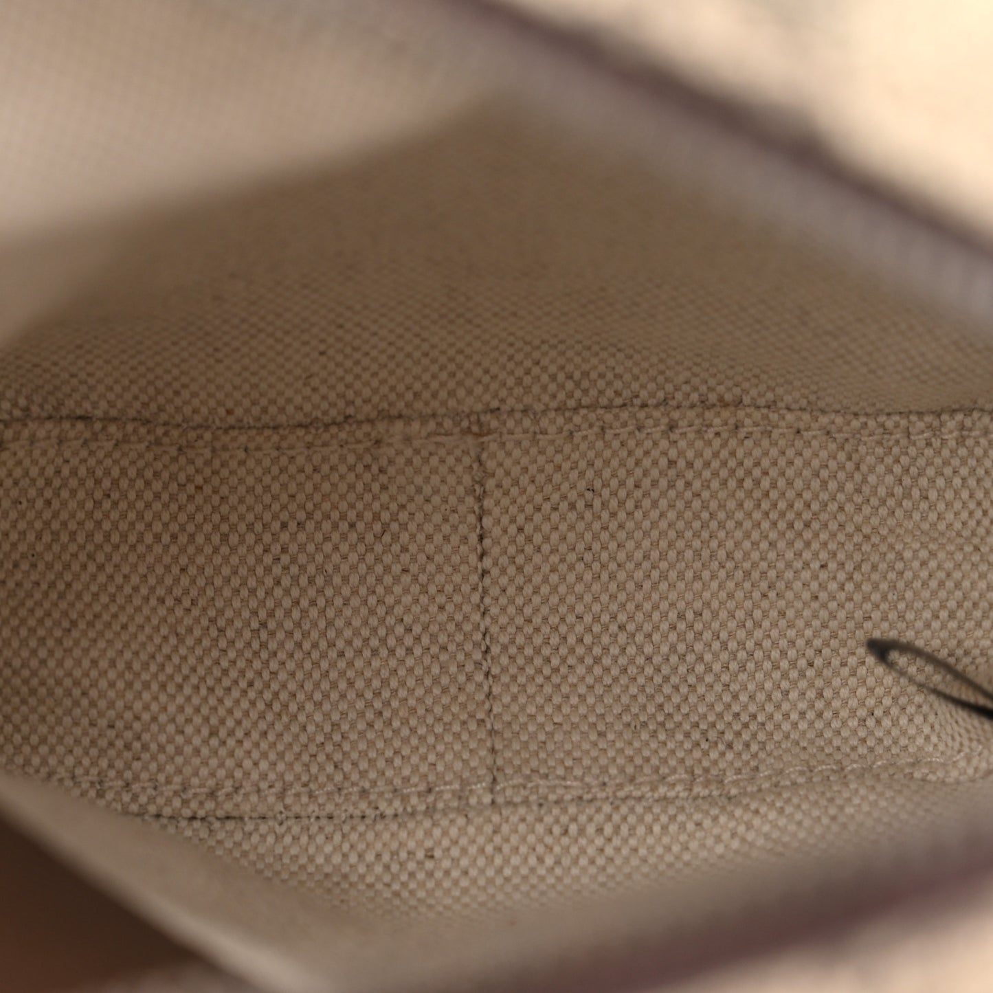 GG Supreme Monogram Web Mini Ophidia Messenger Brown