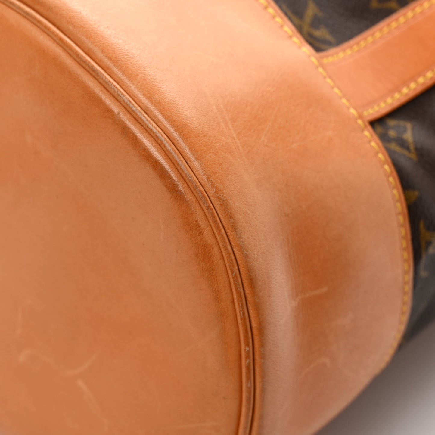 Monogram Randonnee GM Backpack