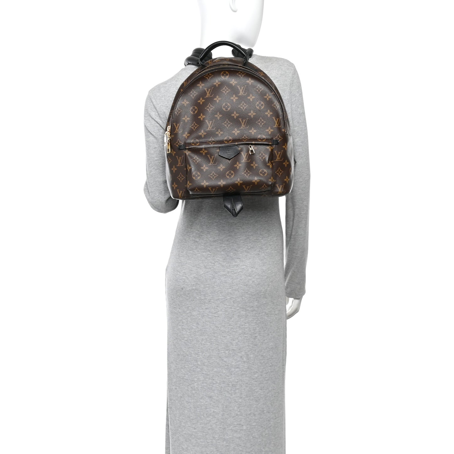 Monogram Palm Springs Backpack MM