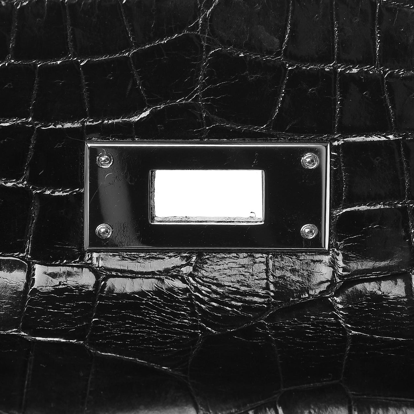 Shiny Niloticus Crocodile Kelly Sellier 32