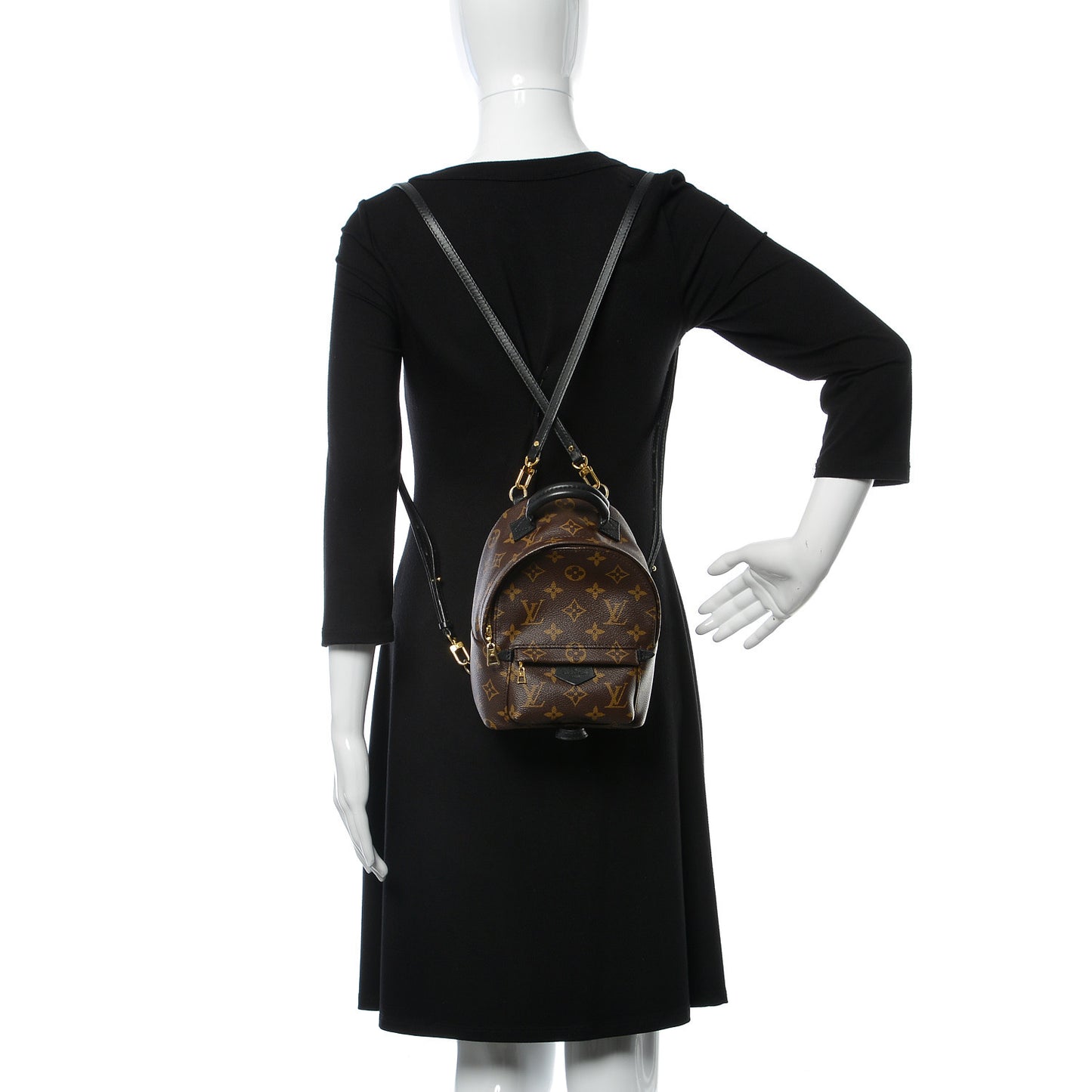 Monogram Palm Springs Backpack Mini