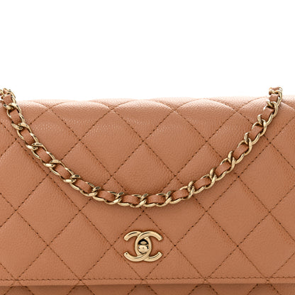 Chanel Caviar Quilted CC Turnlock Wallet On Chain WOC Brown 9 of 12