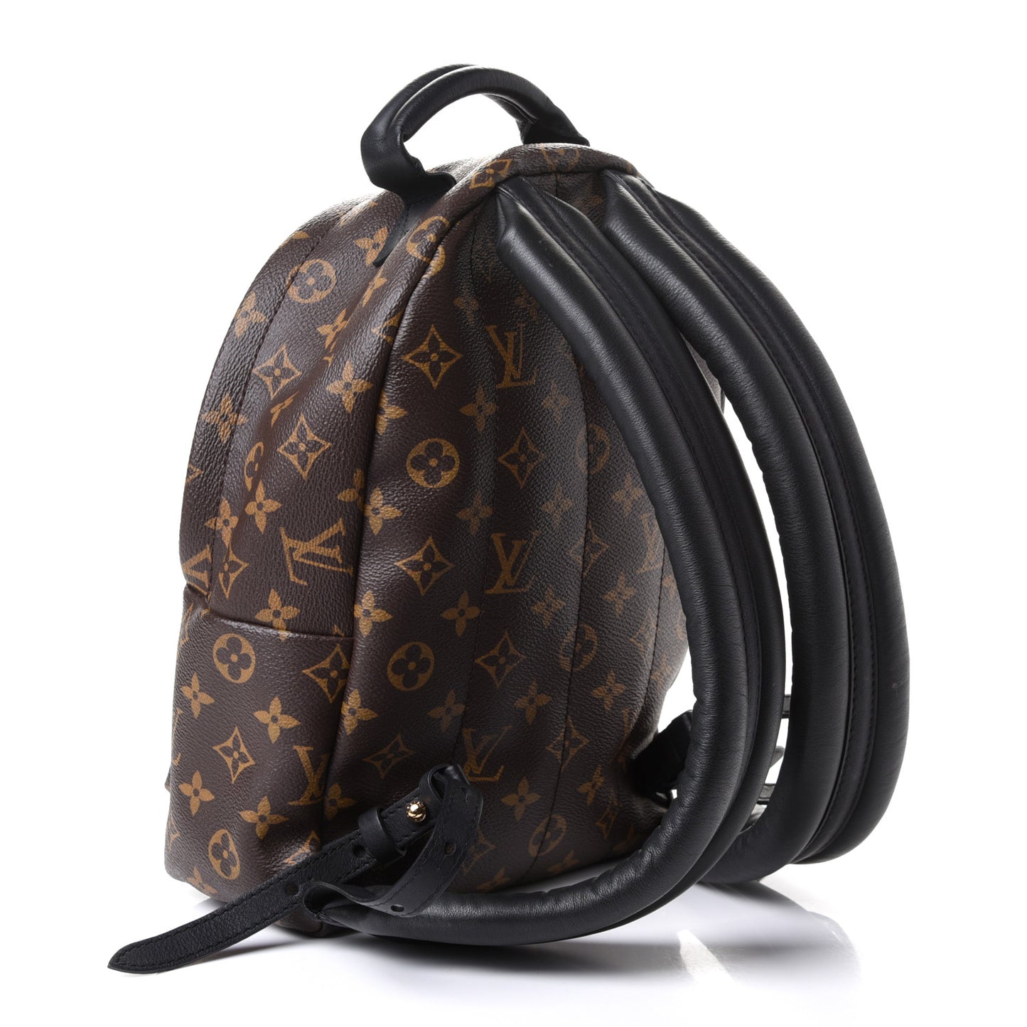 Monogram Palm Springs Backpack PM