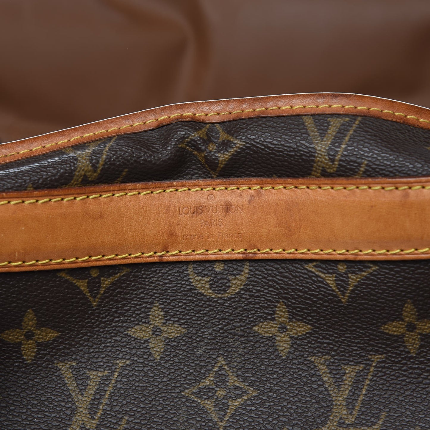 Monogram Sac Chien 50 Pet Carrier