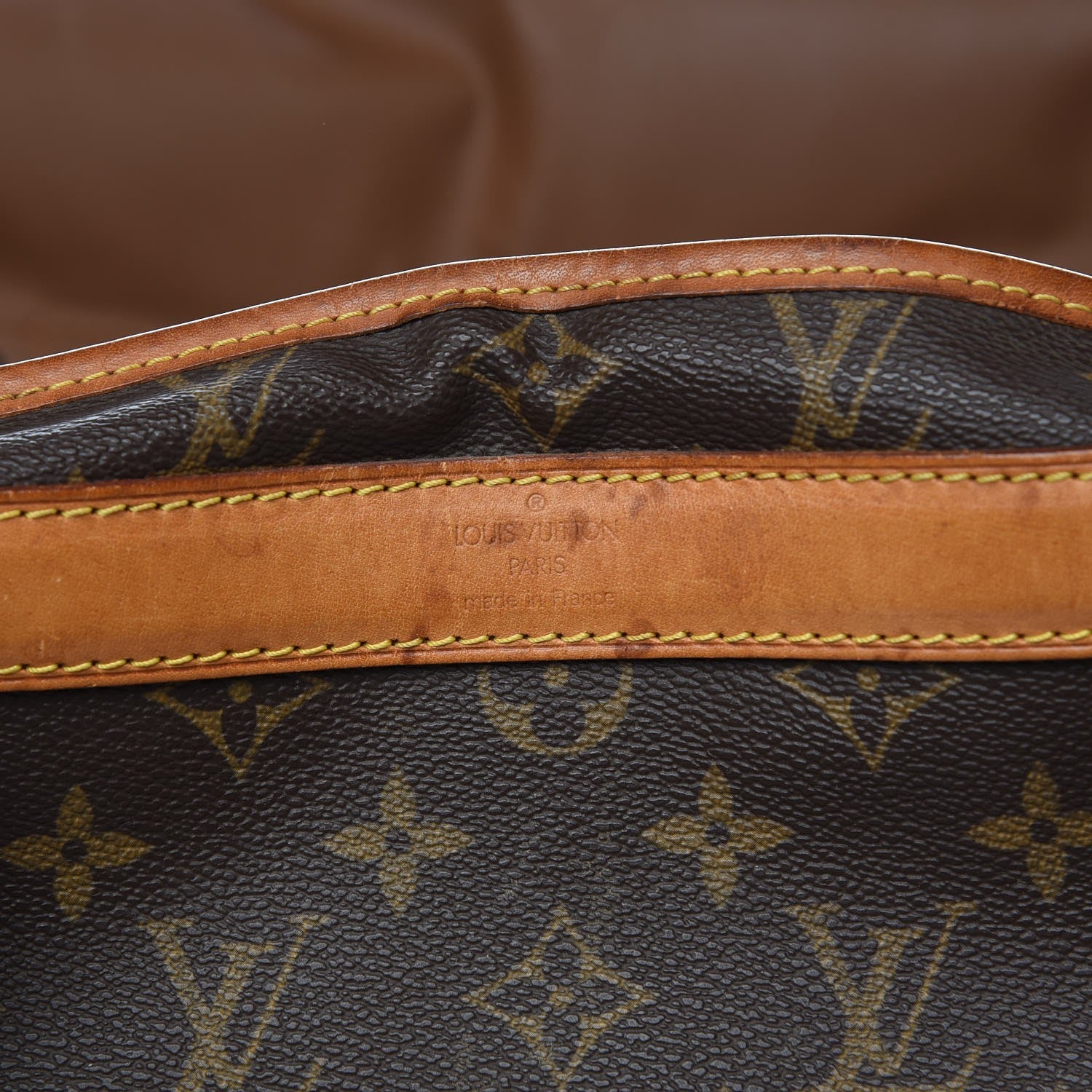 Louis Vuitton Monogram Sac Chien 50 Pet Carrier 8 of 19