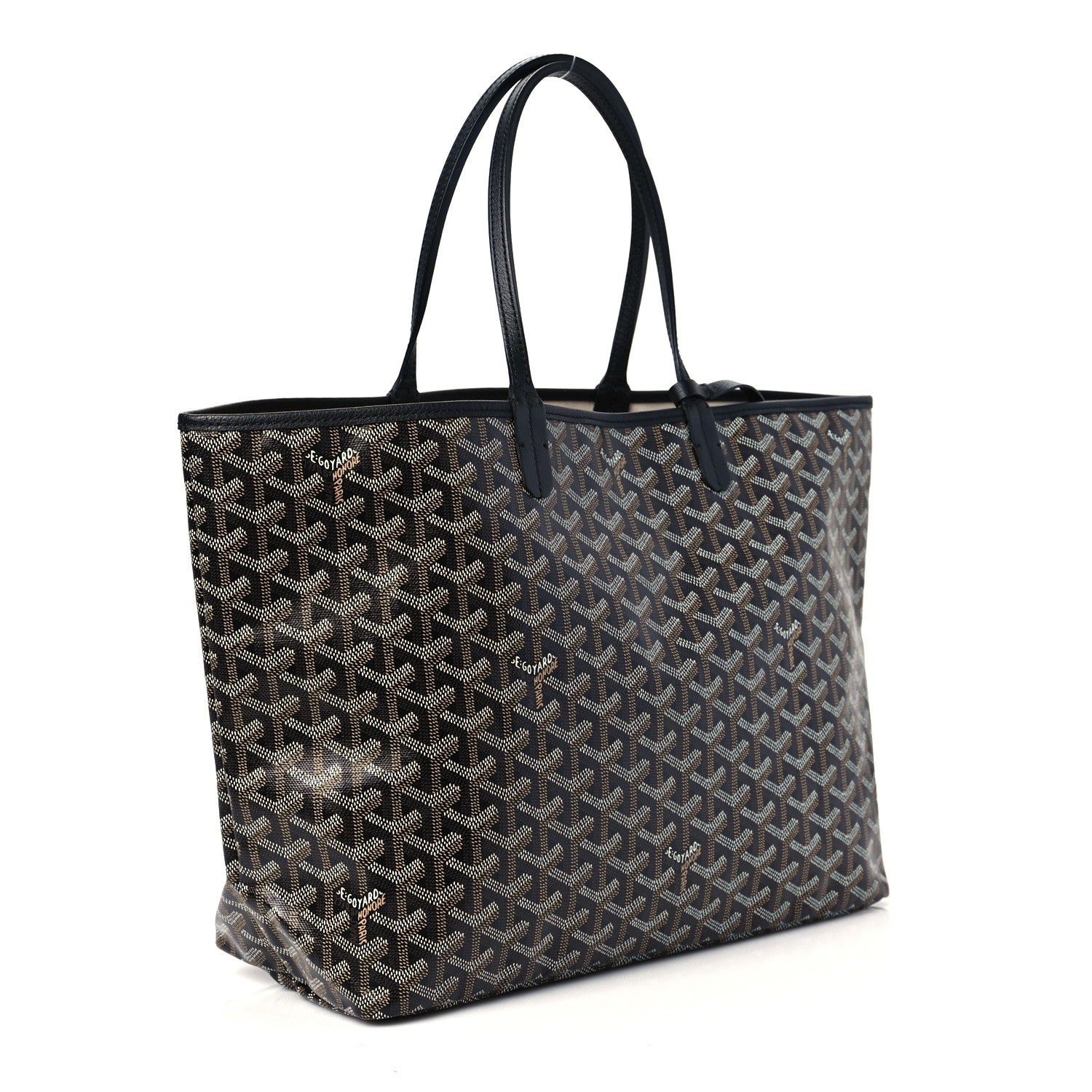 Goyard Goyardine Saint Louis PM Black 4 of 10