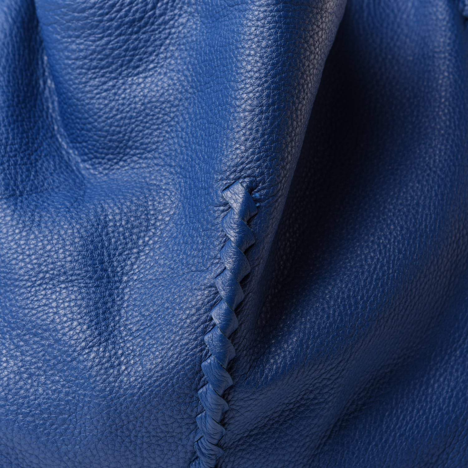 Bottega Veneta Cervo Deerskin Hobo Electrique 12 of 12