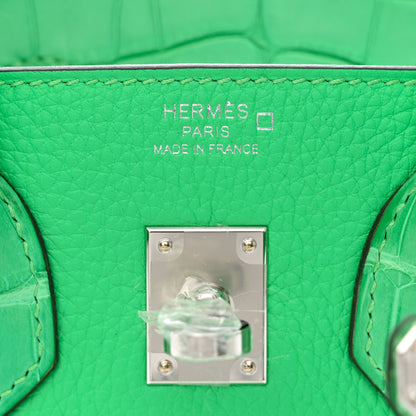 Hermes Togo Matte Alligator Birkin Touch 25 Vert Comics 6 of 11