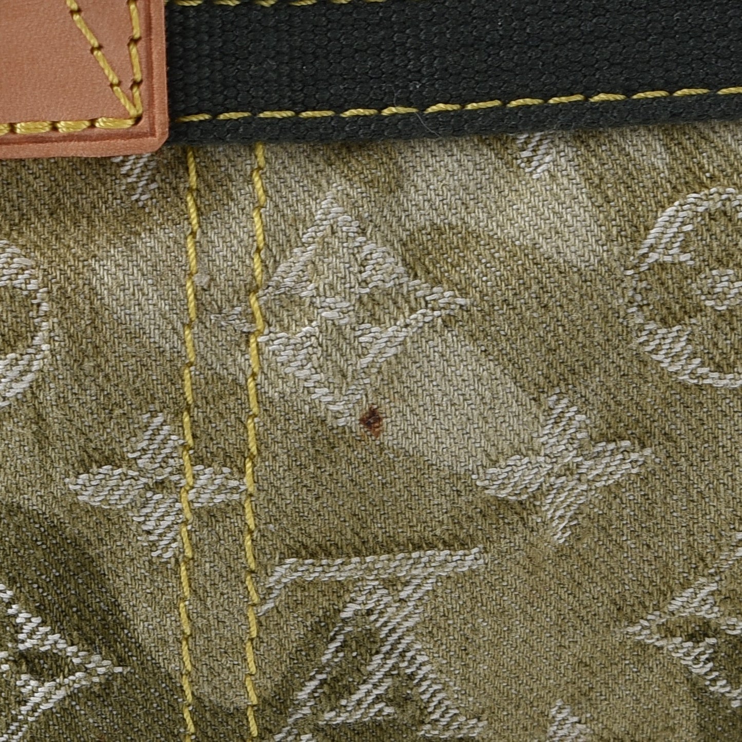 Denim Monogramouflage Lys