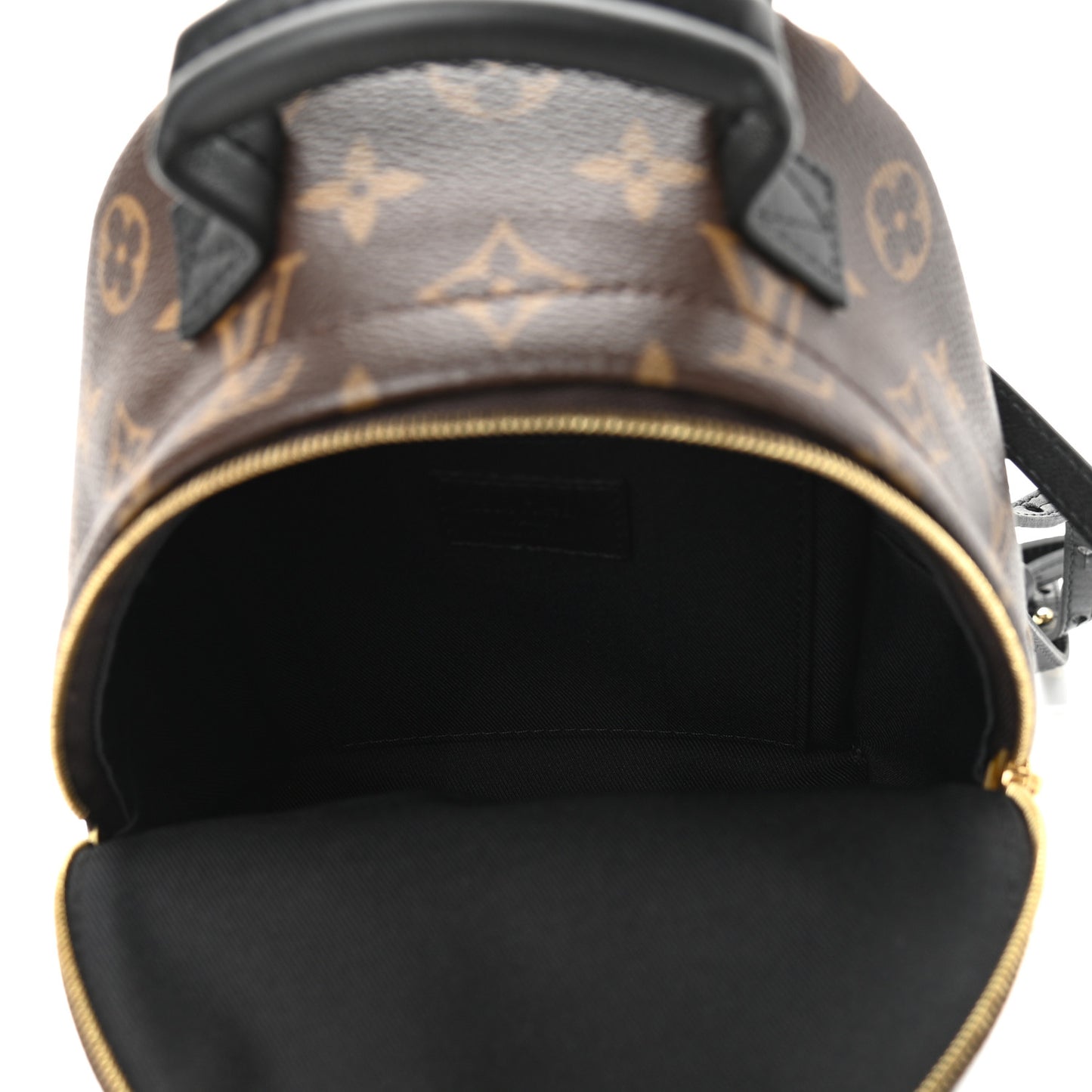 Monogram Palm Springs Backpack Mini
