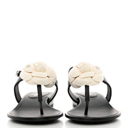 Chanel Lambskin Camellia Thong Sandals 36.5 Black White 2 of 9