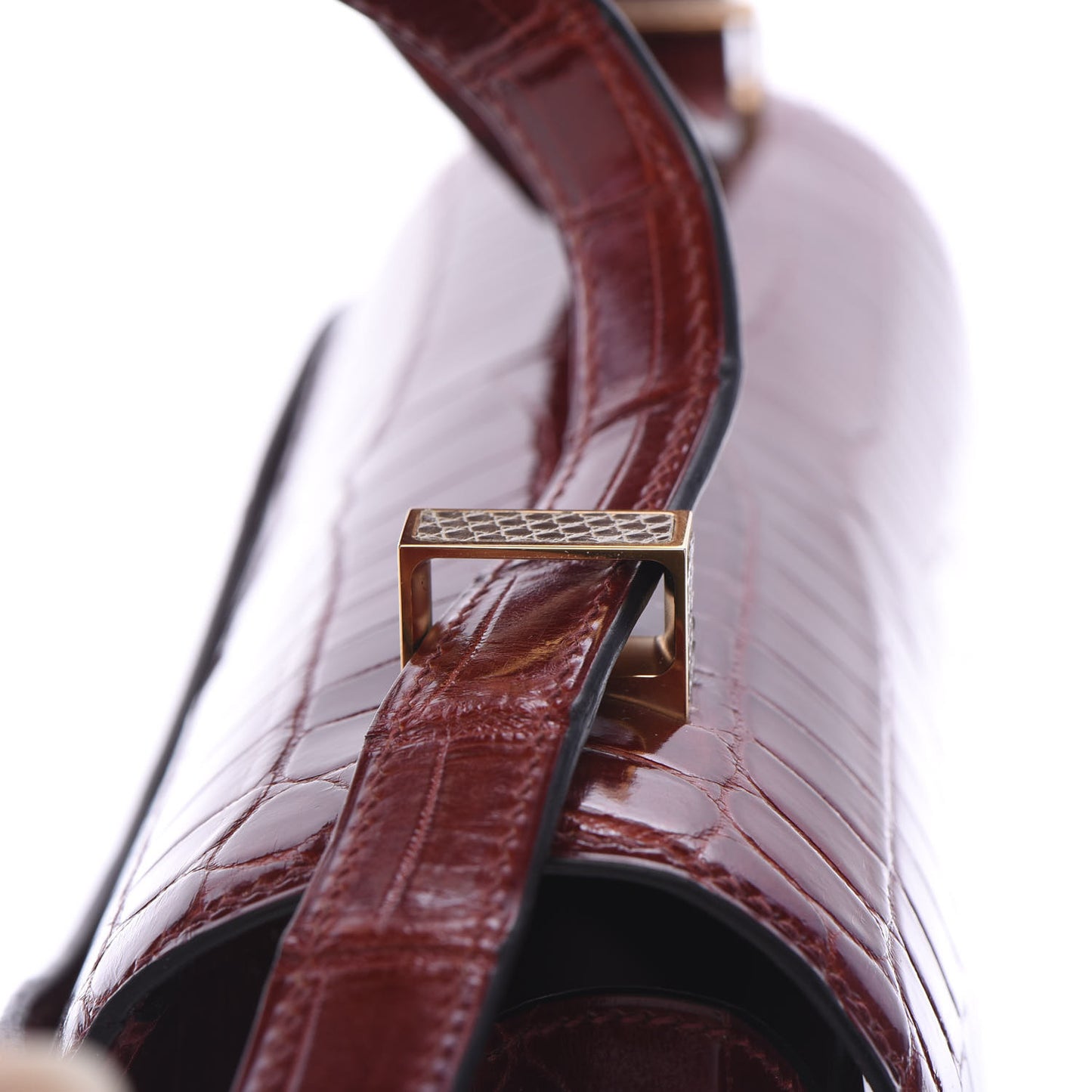 Shiny Niloticus Crocodile Lizard Marquette Constance 24 Rouge H