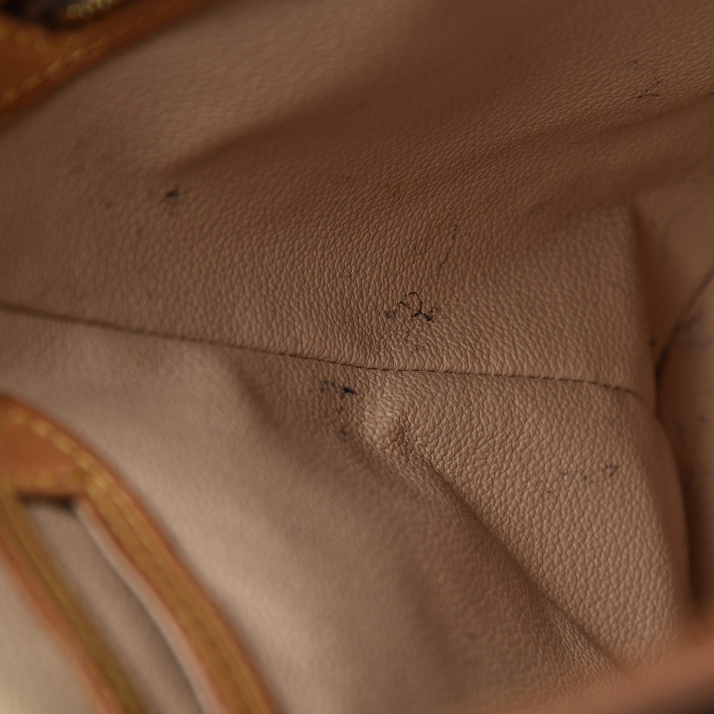 Monogram Petit Bucket 23