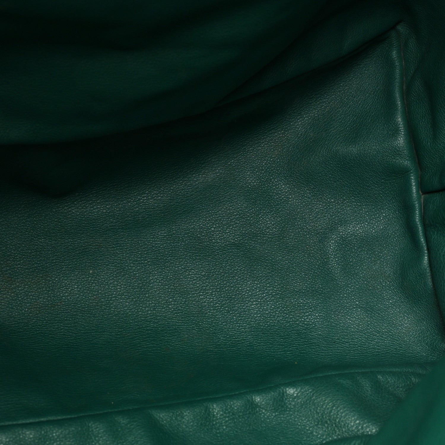 Goyard Goyardine Saint Louis GM Green 19 of 24
