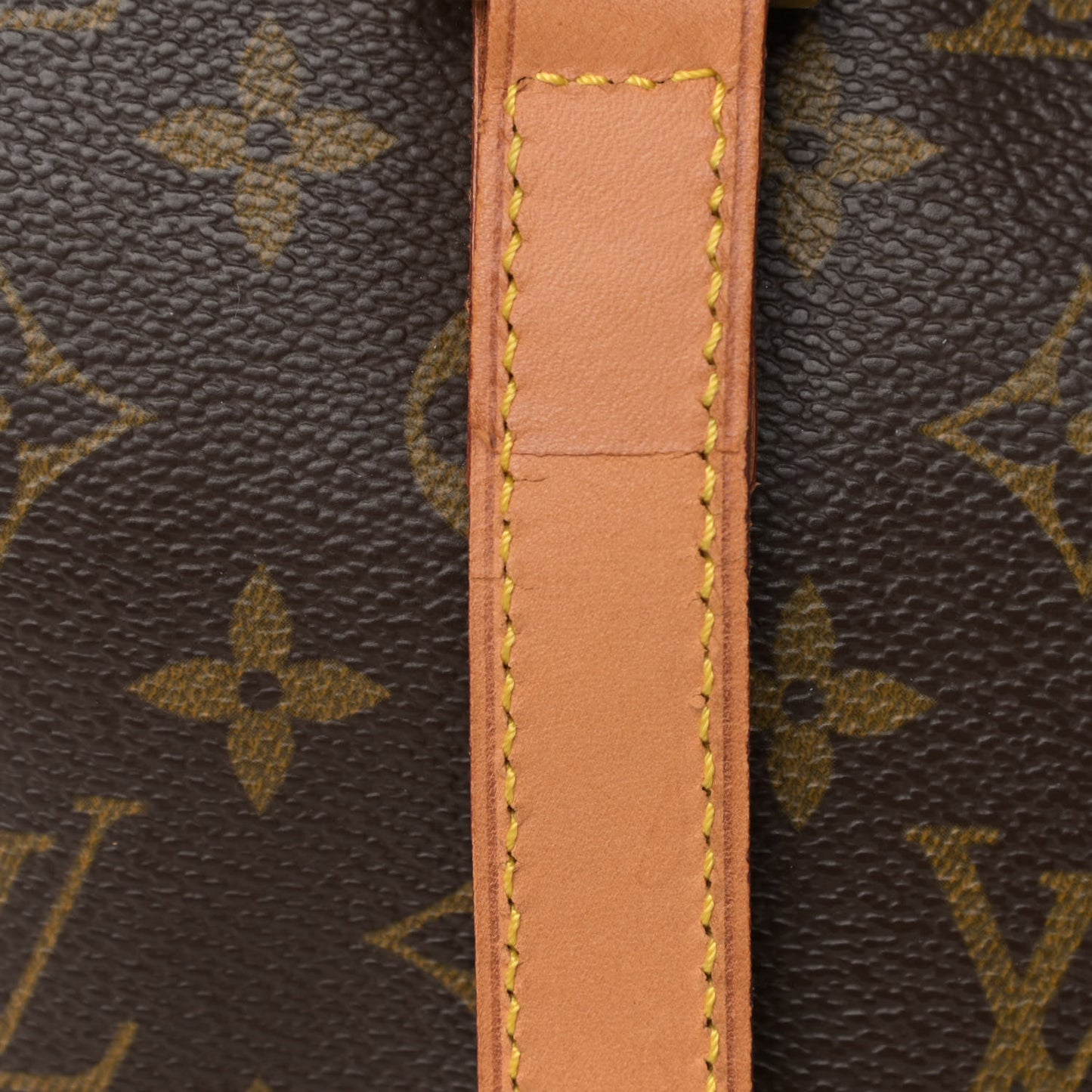 Monogram Cabas Mezzo