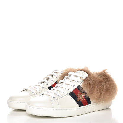 Gucci Calfskin Wool Web Bee Embroidered Womens Ace Sneakers 36 White 2 of 4
