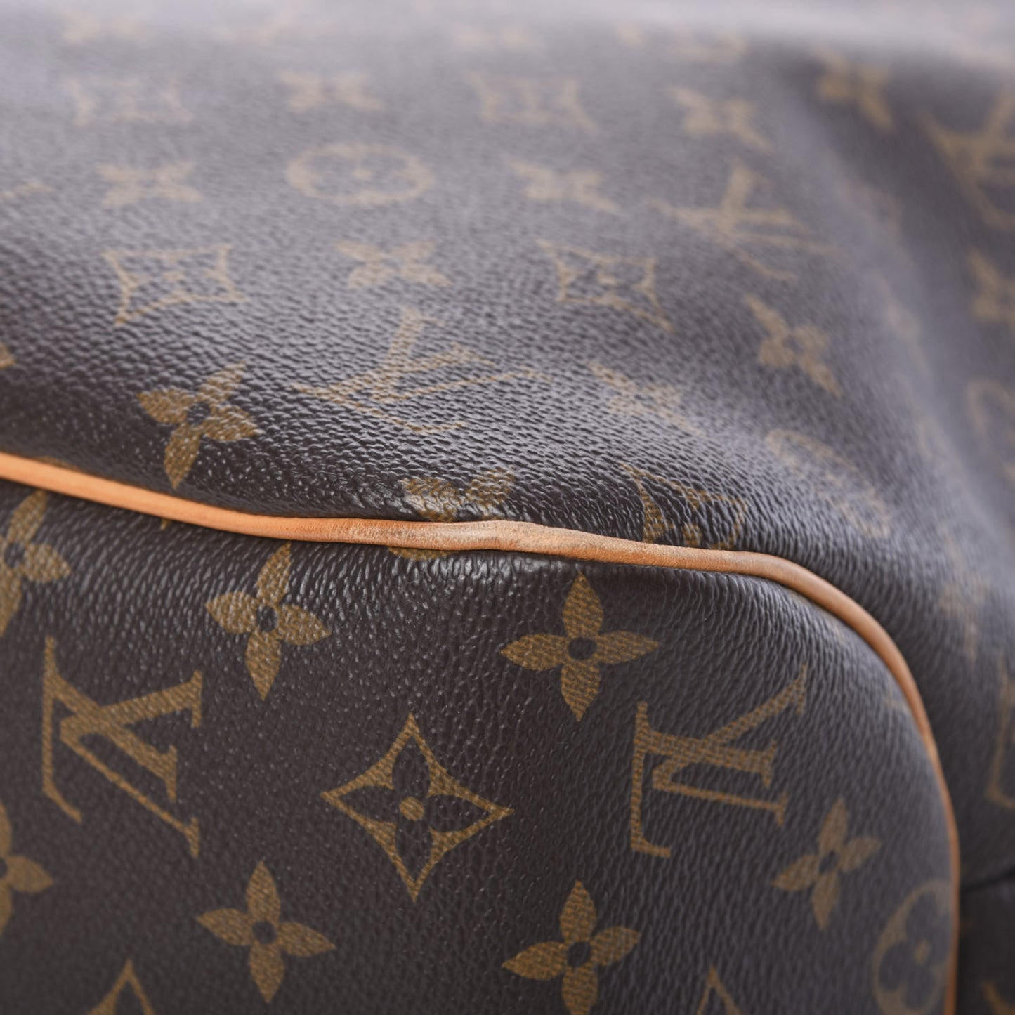 Monogram Delightful MM