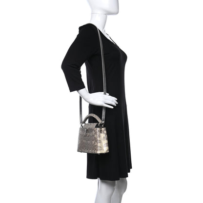 Louis Vuitton Lizard Mini Capucines Argento 3 of 8