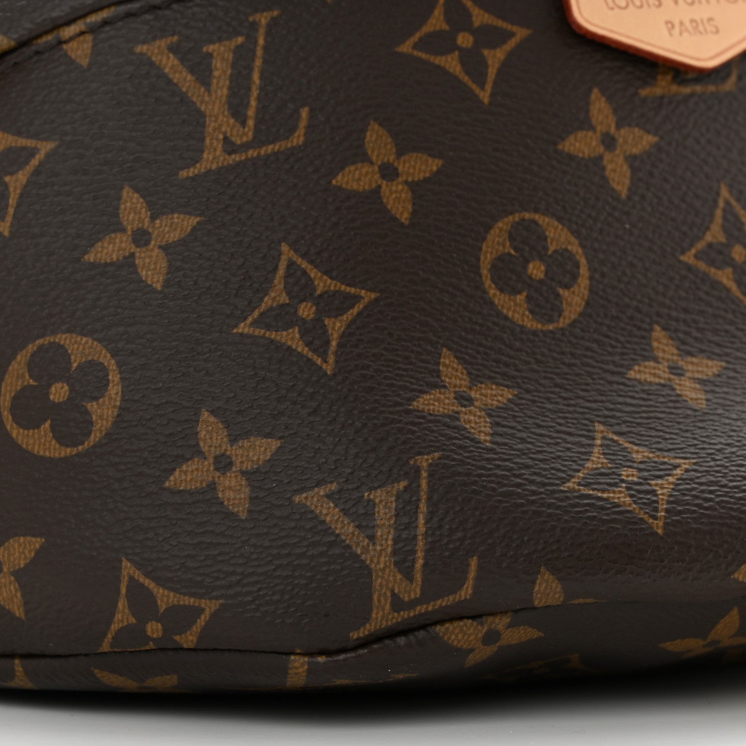 Louis Vuitton Monogram Bumbag 8 of 10