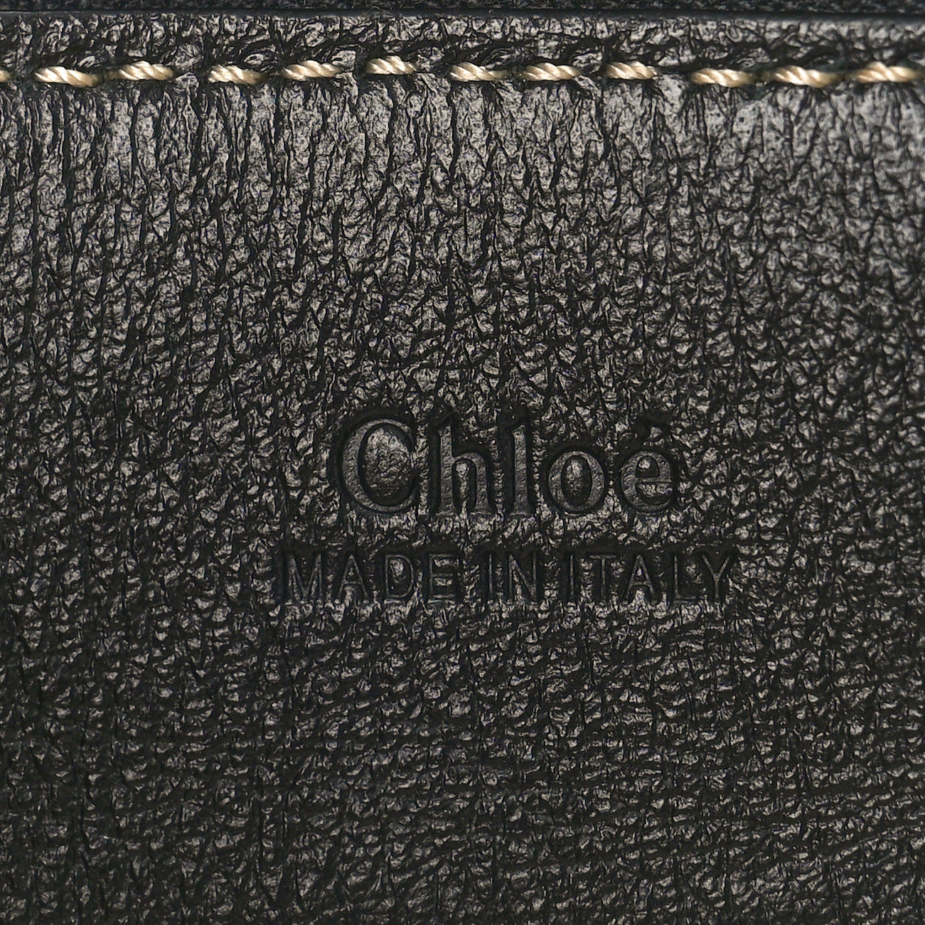 Chloe Buffalo Mini Edith Sepia Black 6 of 9