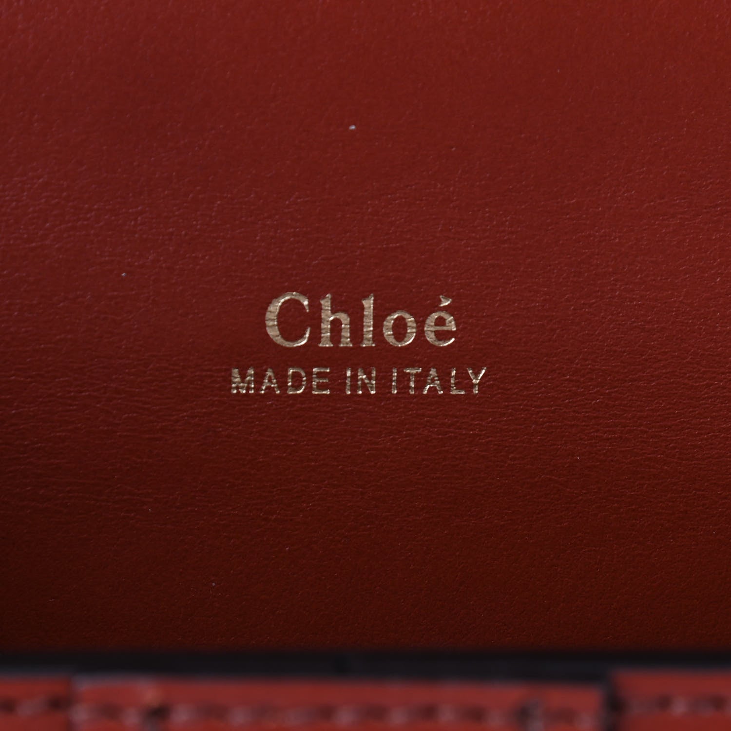 Chloe Shiny Goatskin Calfskin Mini Aby Chain Shoulder Bag Sepia Brown 7 of 8
