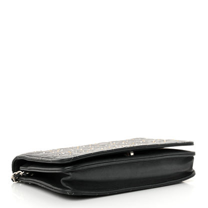 Chanel Lambskin Camellia Studded Wallet on Chain WOC Grey 4 of 18
