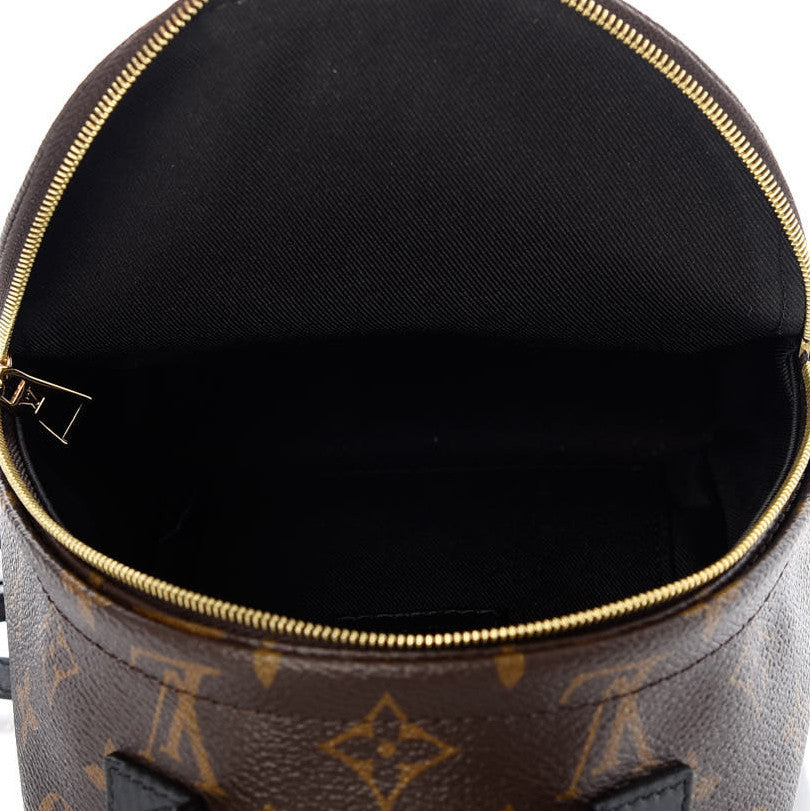 Monogram Palm Springs Backpack Mini