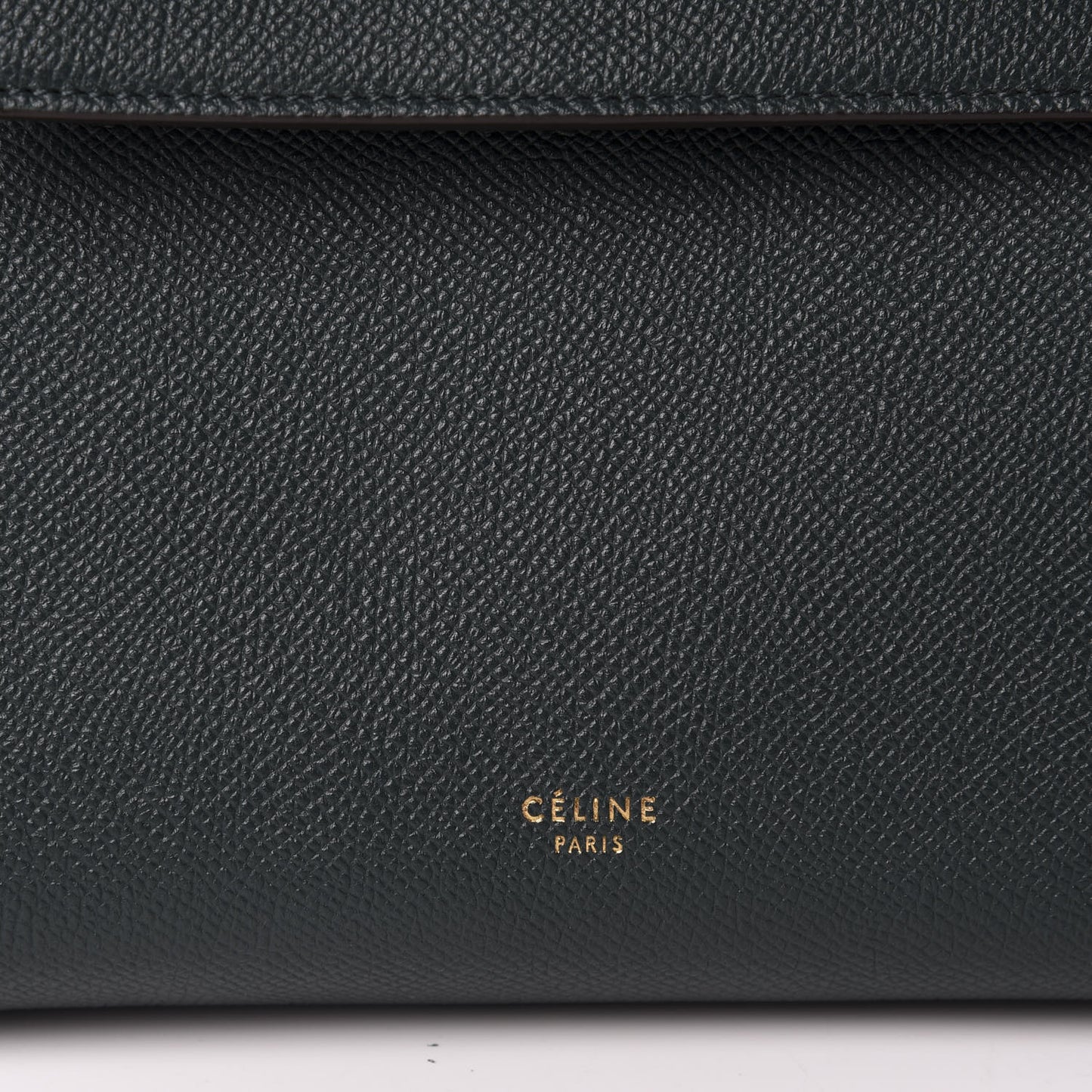 Baby Grained Calfskin Micro Belt Bag Amazone