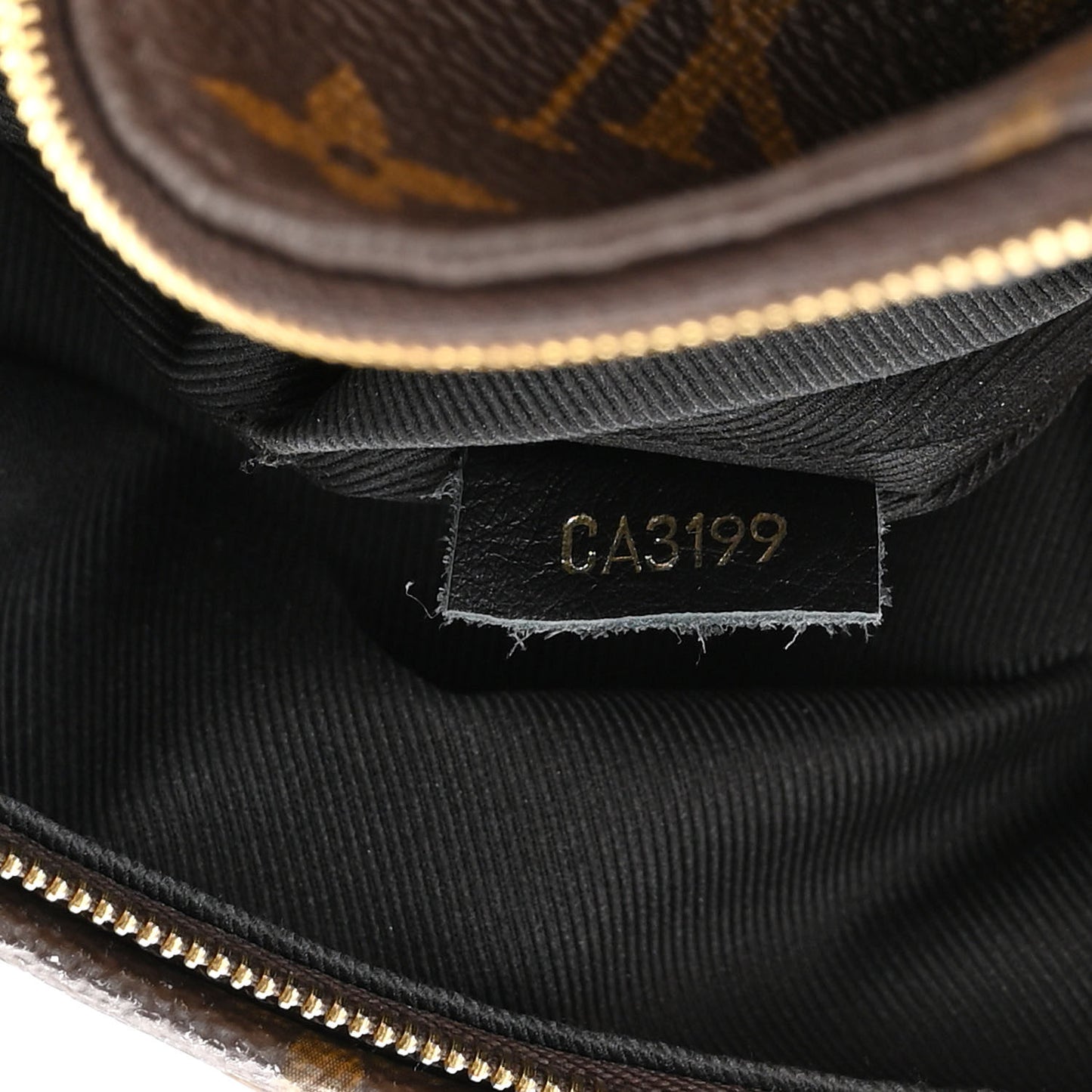 Monogram Palm Springs Backpack Mini
