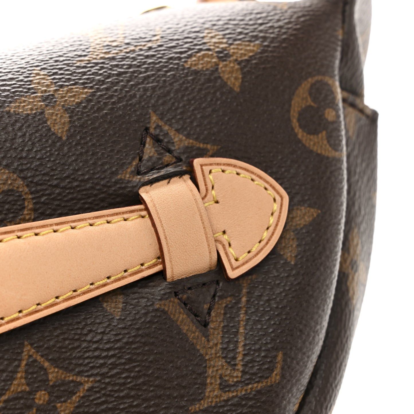 Monogram Bumbag