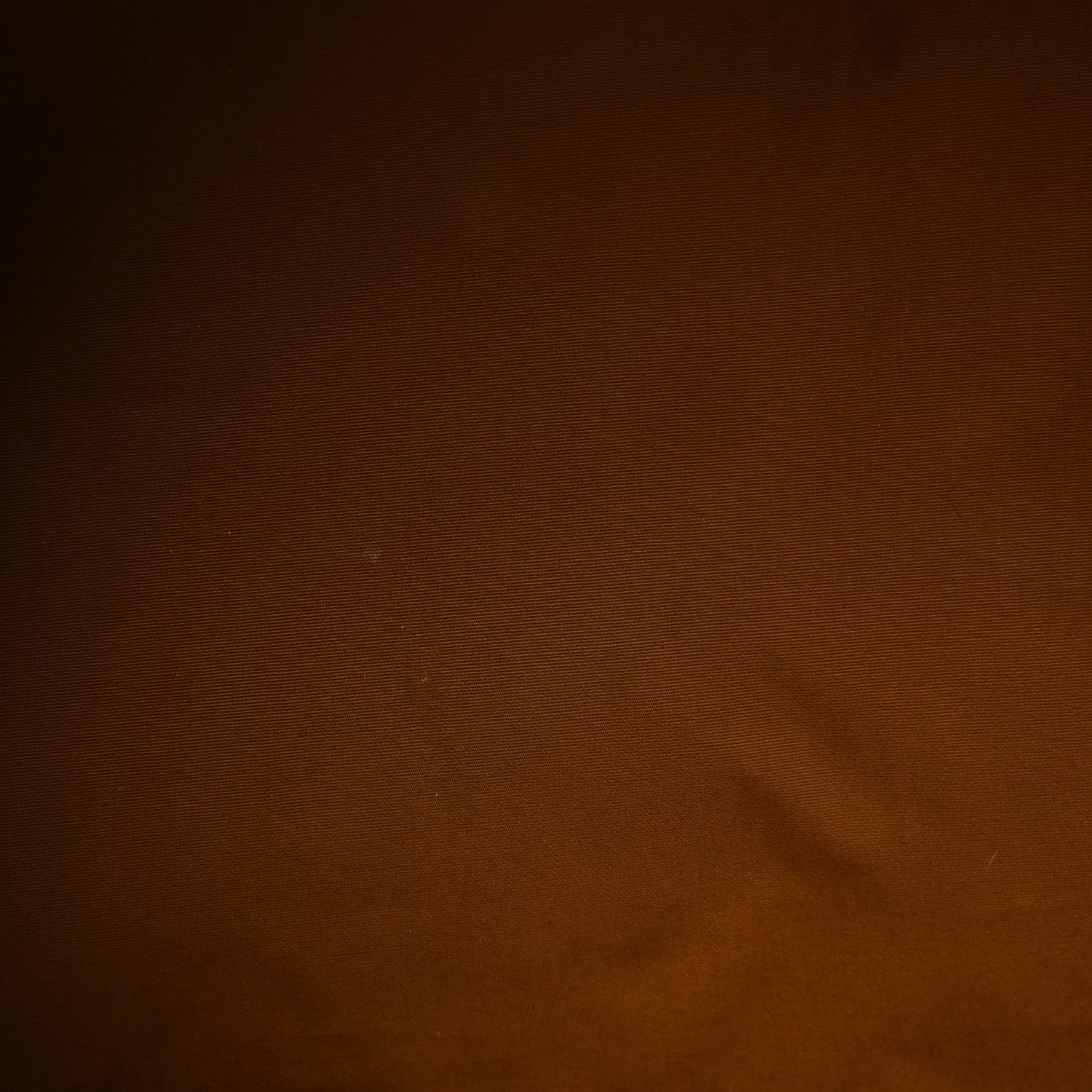 Celine Triomphe Cheetah Canvas Large Travel Duffle Brown 4 of 9