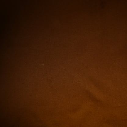 Celine Triomphe Cheetah Canvas Large Travel Duffle Brown 4 of 9