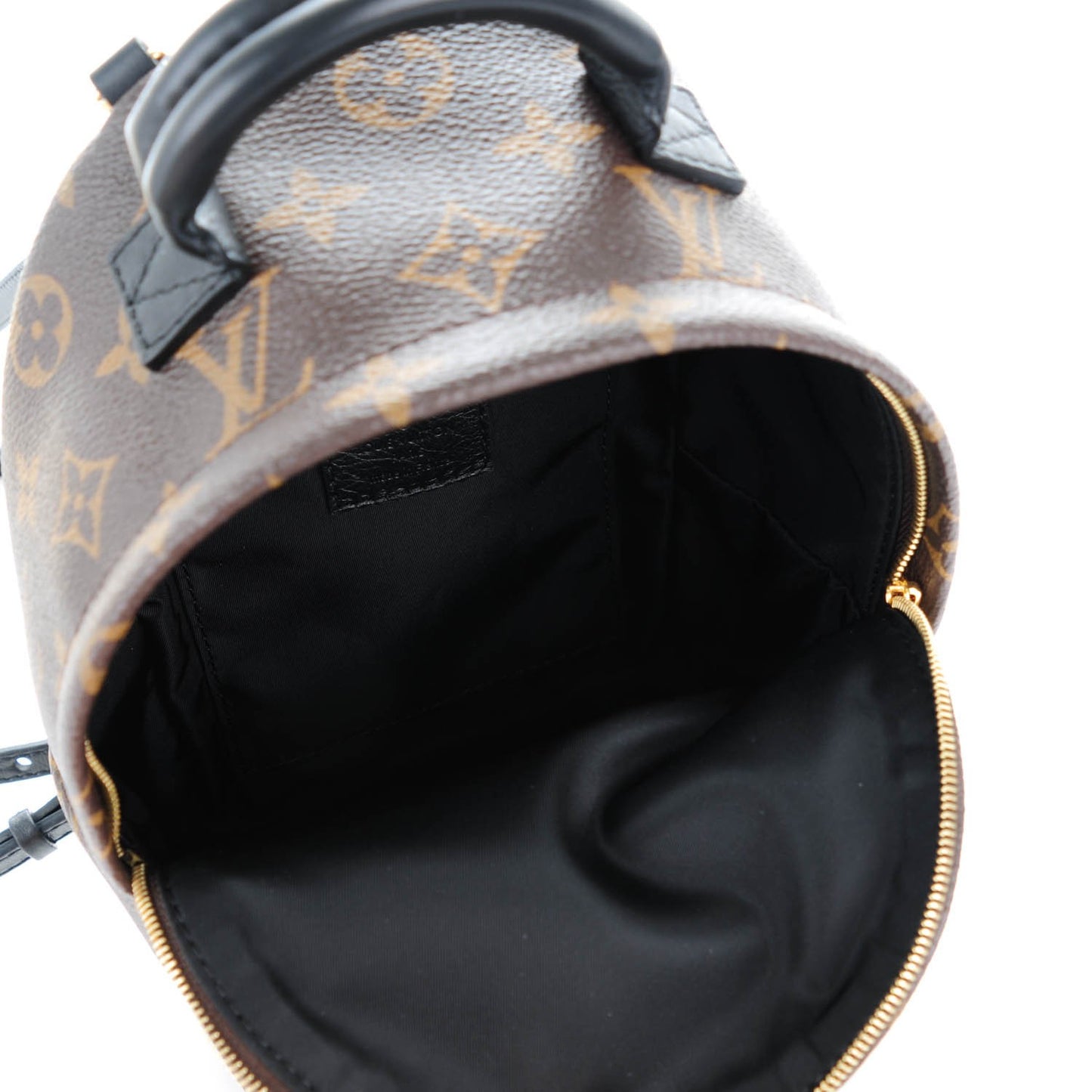 Monogram Palm Springs Backpack Mini