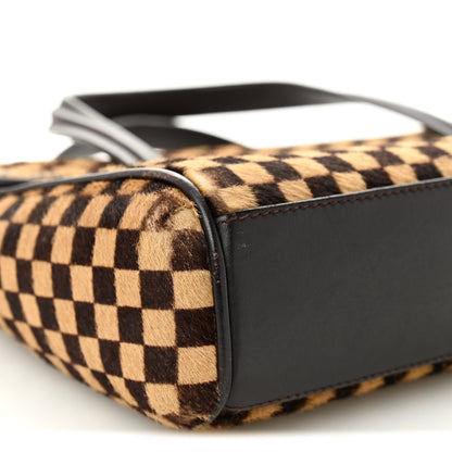 Louis Vuitton Damier Calf Hair Sauvage Lionne 9 of 12