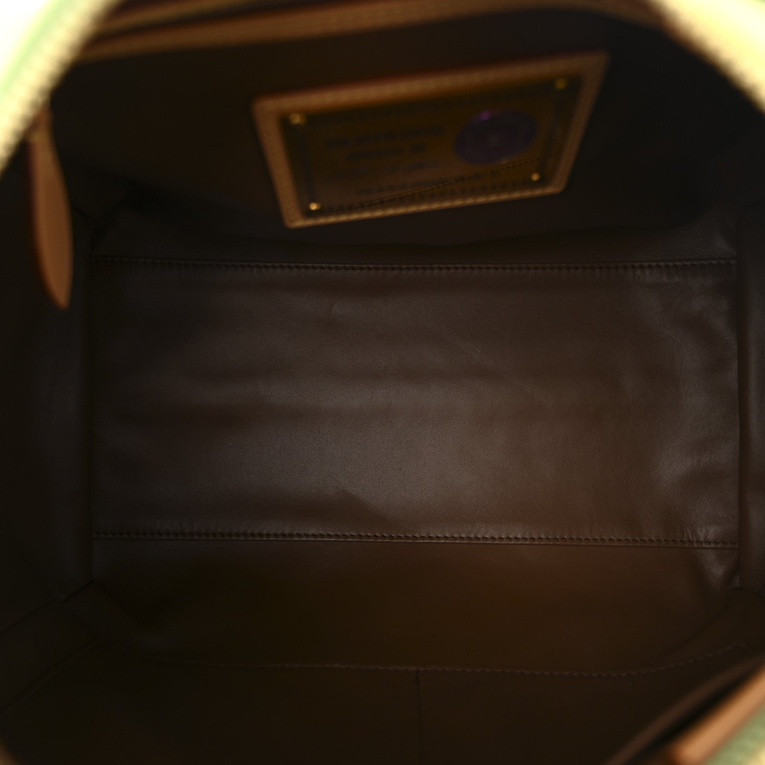 Louis Vuitton Calfskin Monogram Speedy P9 Bandouliere 30 Frozen Lime Vert Clair 5 of 9