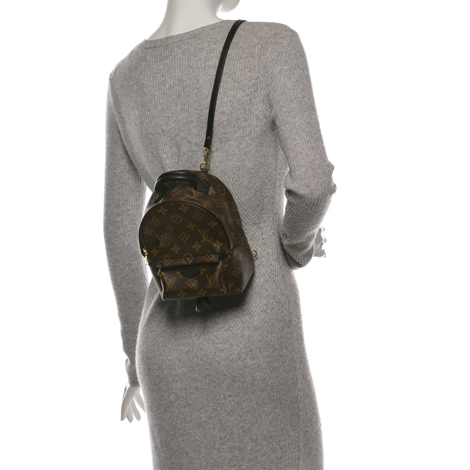 Louis Vuitton Monogram Palm Springs Backpack Mini 2 of 12