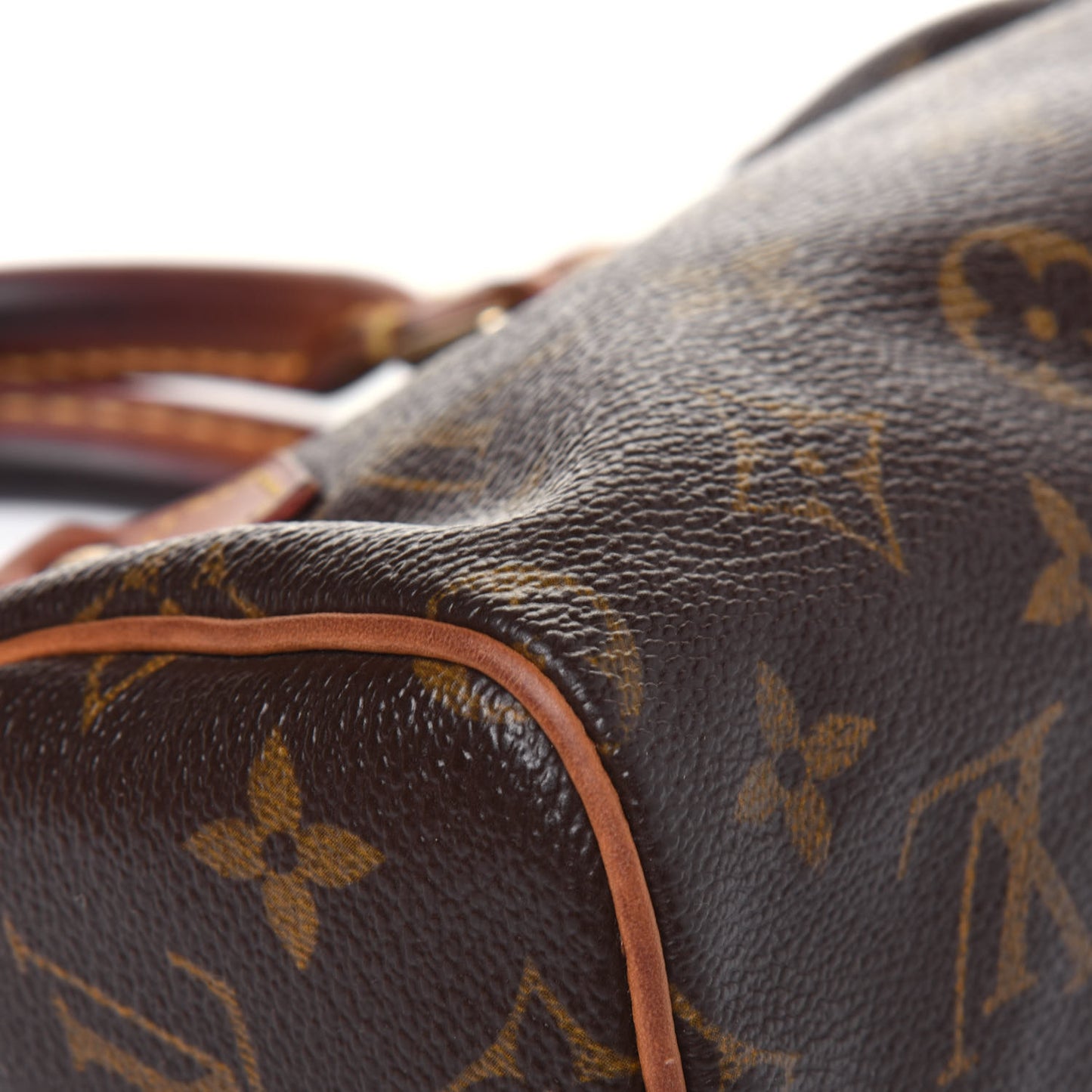 Monogram Mini Sac HL Speedy