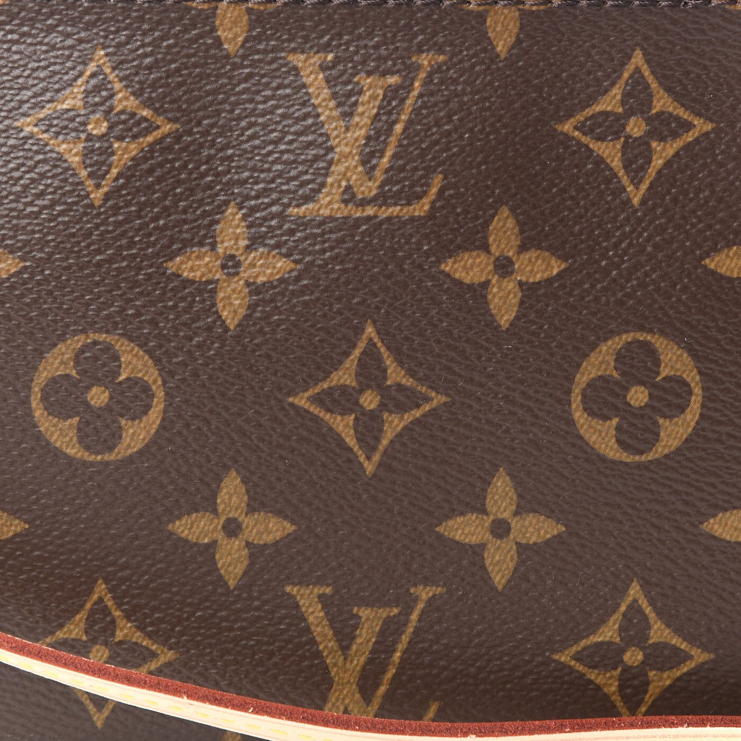 Louis Vuitton Monogram Pochette Accessories NM 9 of 9