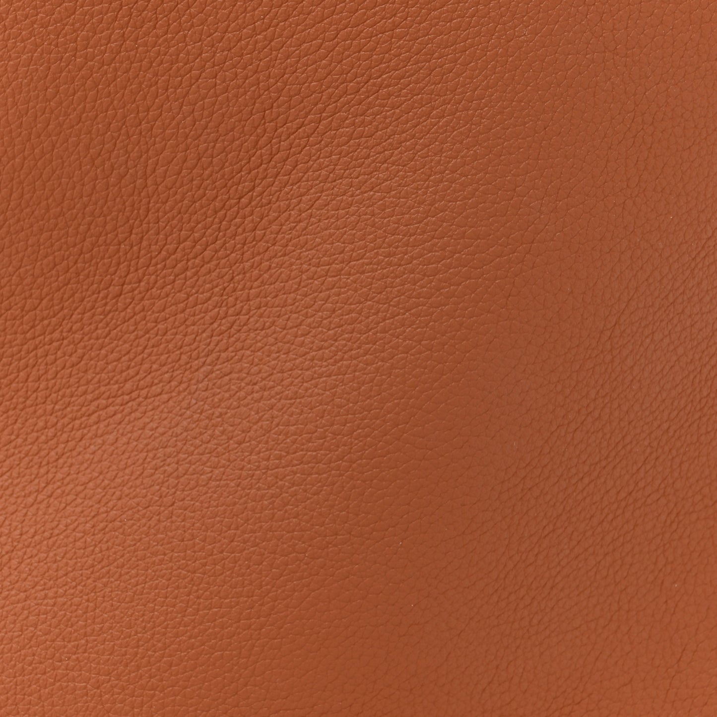 Grained Calfskin Low Key Hobo MM Cognac